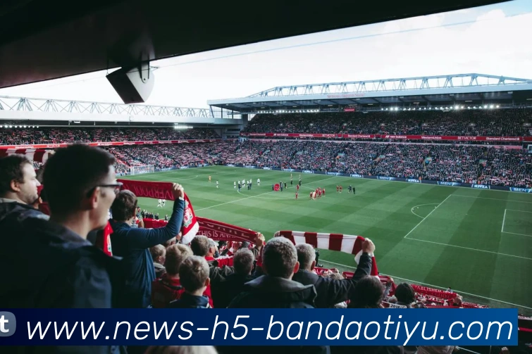 半岛体育APP 高清赛事图